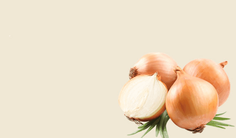 Fulfilment by Ananta - Professional Logistics